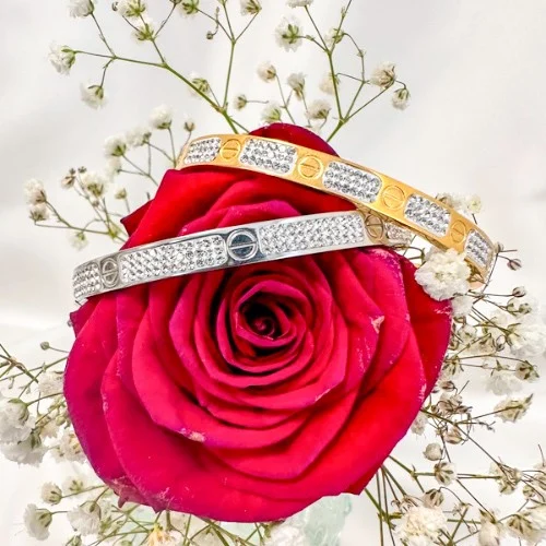 Le Bracelet Jonc "Mélia" se distingue par son design épuré et sophistiqué. La finition lisse et brillante du bracelet met en valeur les strass qui le parent, créant un éclat subtil et élégant. Disponible en argenté et doré, ce bijou s’adapte à toutes vos envies et complète parfaitement votre collection de bijoux. Son style intemporel et sa finesse font de "Mélia" un accessoire incontournable pour toutes les occasions.