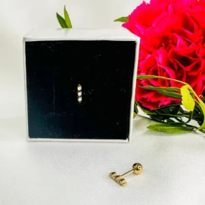 Les piercings d'oreille en acier inoxydable sont conçus pour allier beauté et robustesse. Ce matériau est parfait pour les piercings, car il ne se corrode pas et ne ternit pas, garantissant que vos bijoux resteront toujours éclatants. L'acier inoxydable est également connu pour ses propriétés hypoallergéniques, offrant ainsi une solution idéale pour les personnes sujettes aux allergies cutanées. Avec des styles allant des anneaux délicats aux boucles d'oreilles décoratives, ces piercings en acier inoxydable s'adaptent à toutes les occasions, ajoutant une touche de sophistication à votre look quotidien.