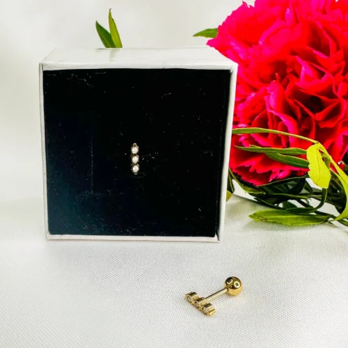 Les piercings d'oreille en acier inoxydable sont conçus pour allier beauté et robustesse. Ce matériau est parfait pour les piercings, car il ne se corrode pas et ne ternit pas, garantissant que vos bijoux resteront toujours éclatants. L'acier inoxydable est également connu pour ses propriétés hypoallergéniques, offrant ainsi une solution idéale pour les personnes sujettes aux allergies cutanées. Avec des styles allant des anneaux délicats aux boucles d'oreilles décoratives, ces piercings en acier inoxydable s'adaptent à toutes les occasions, ajoutant une touche de sophistication à votre look quotidien.