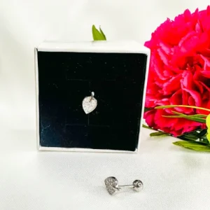 style et tendance piercing d'oreille