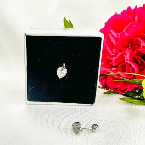 style et tendance piercing d'oreille