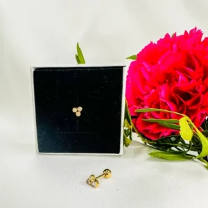 piercing d'oreilles stylée